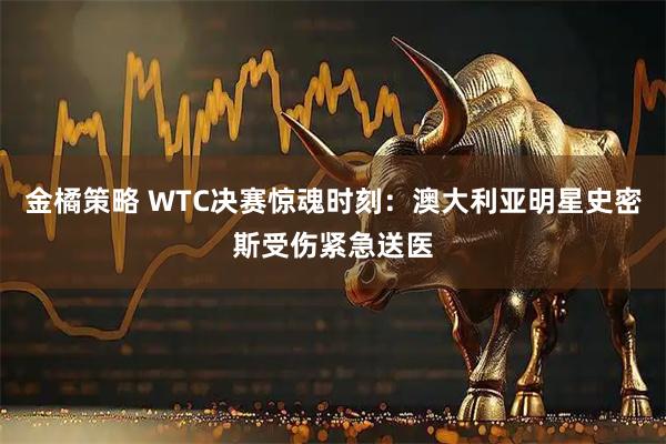 金橘策略 WTC决赛惊魂时刻：澳大利亚明星史密斯受伤紧急送医