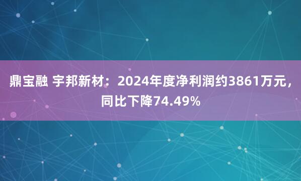 鼎宝融 宇邦新材：2024年度净利润约3861万元，同比下降74.49%