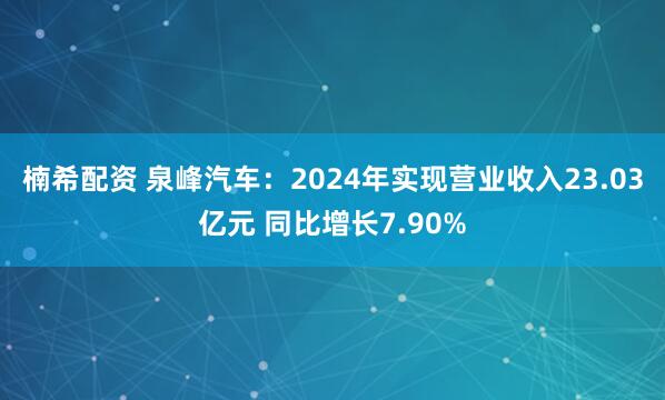 楠希配资 泉峰汽车：2024年实现营业收入23.03亿元 同比增长7.90%