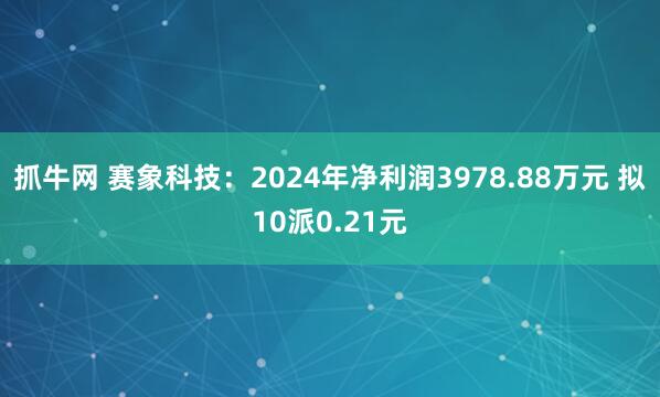 抓牛网 赛象科技：2024年净利润3978.88万元 拟10派0.21元