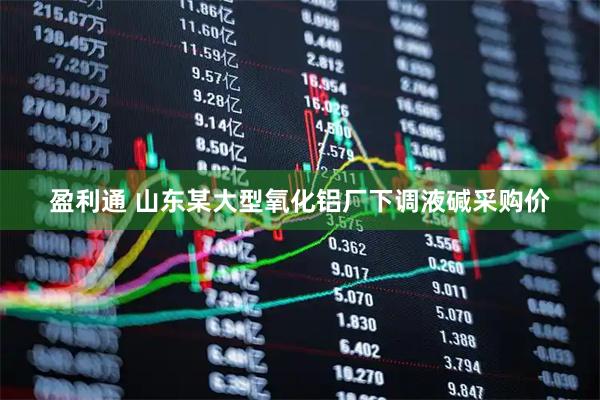 盈利通 山东某大型氧化铝厂下调液碱采购价