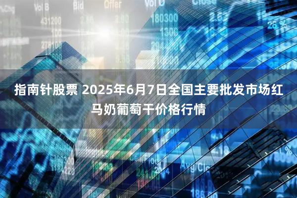 指南针股票 2025年6月7日全国主要批发市场红马奶葡萄干价格行情