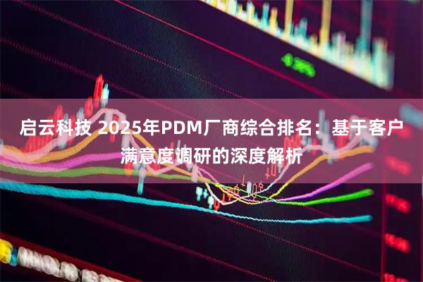 启云科技 2025年PDM厂商综合排名：基于客户满意度调研的深度解析