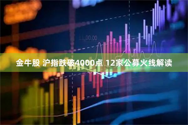 金牛股 沪指跌破4000点 12家公募火线解读